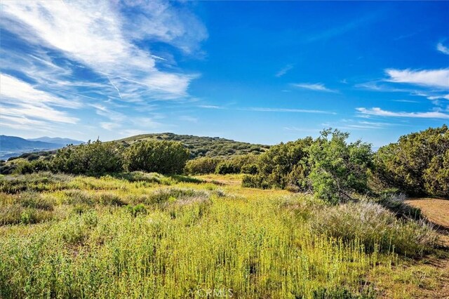 48725 Shallow Springs Rd N, Leona Valley, CA 93551 - photo 58