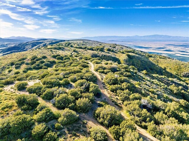 48725 Shallow Springs Rd N, Leona Valley, CA 93551 - photo 26