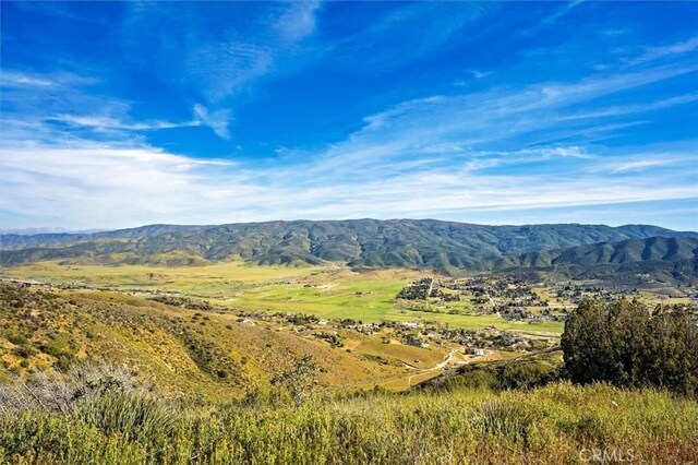 48725 Shallow Springs Rd N, Leona Valley, CA 93551 - photo 56
