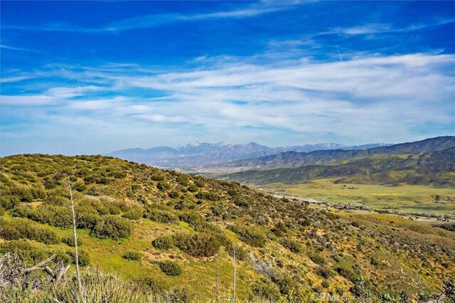 48725 Shallow Springs Rd N, Leona Valley, CA 93551 - photo 57
