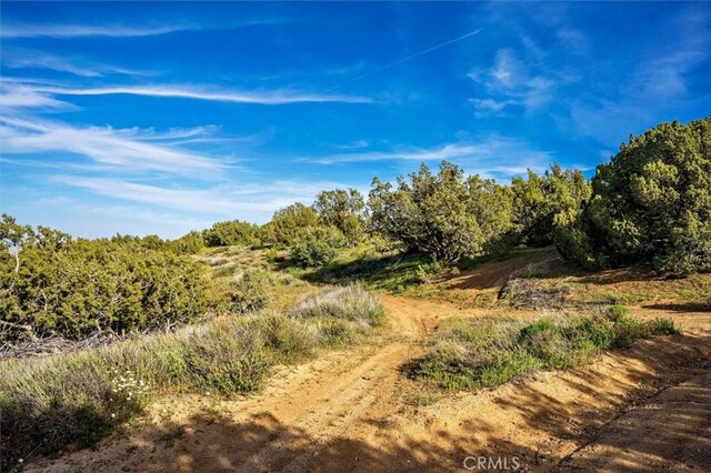 48725 Shallow Springs Rd N, Leona Valley, CA 93551 - photo 63