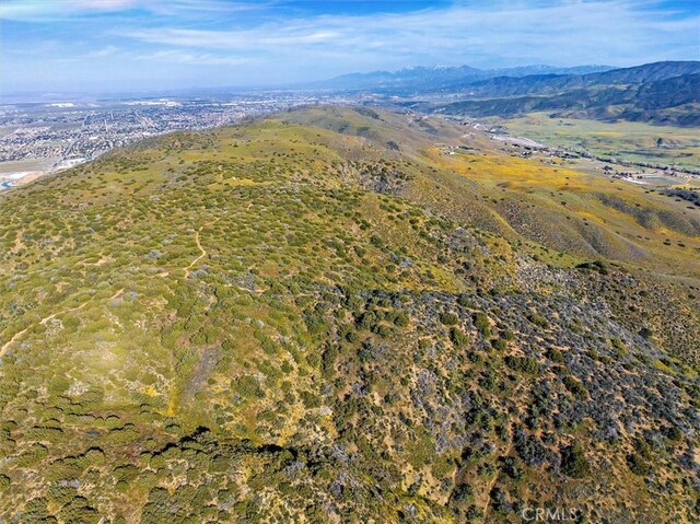 48725 Shallow Springs Rd N, Leona Valley, CA 93551 - photo 23