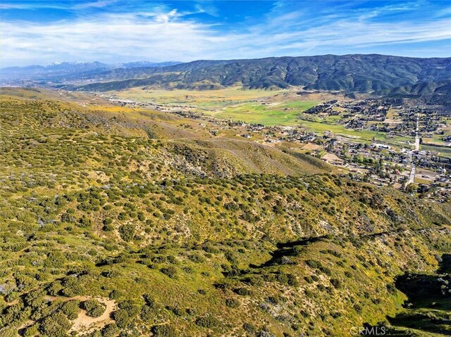 48725 Shallow Springs Rd N, Leona Valley, CA 93551 - photo 14