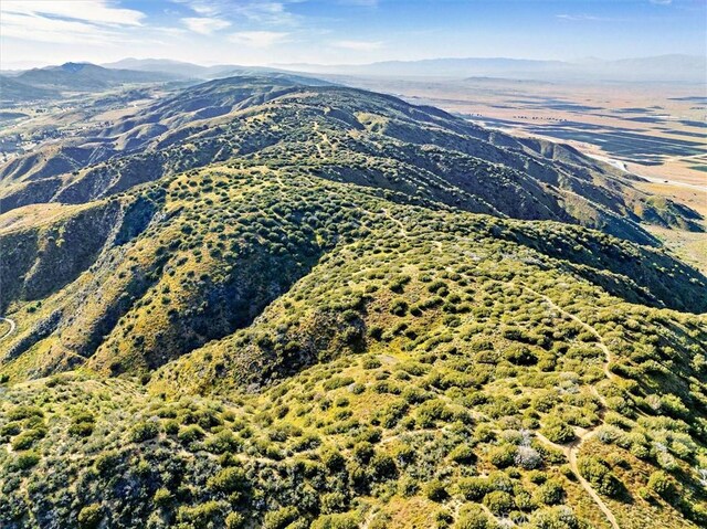 48725 Shallow Springs Rd N, Leona Valley, CA 93551 - photo 16