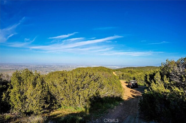 48725 Shallow Springs Rd N, Leona Valley, CA 93551 - photo 43