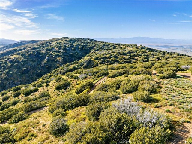 48725 Shallow Springs Rd N, Leona Valley, CA 93551 - photo 32