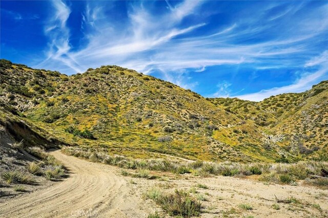 48725 Shallow Springs Rd N, Leona Valley, CA 93551 - photo 54