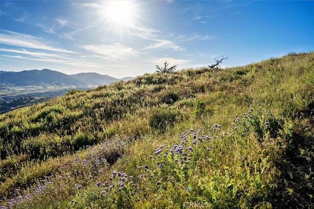 48725 Shallow Springs Rd N, Leona Valley, CA 93551 - photo 44