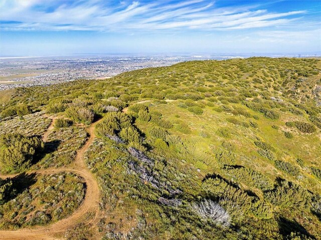 48725 Shallow Springs Rd N, Leona Valley, CA 93551 - photo 33