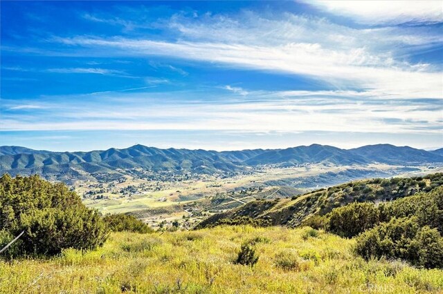 48725 Shallow Springs Rd N, Leona Valley, CA 93551 - photo 55