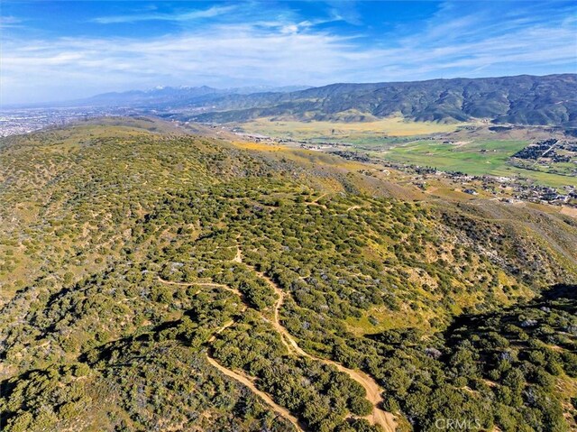 48725 Shallow Springs Rd N, Leona Valley, CA 93551 - photo 9