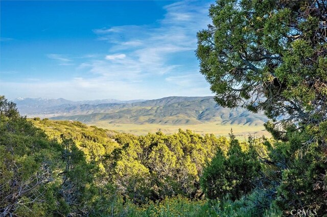48725 Shallow Springs Rd N, Leona Valley, CA 93551 - photo 38