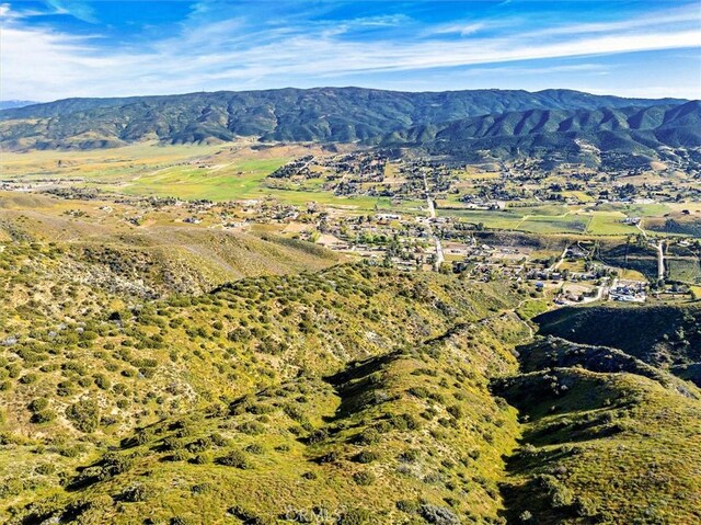 48725 Shallow Springs Rd N, Leona Valley, CA 93551 - photo 13