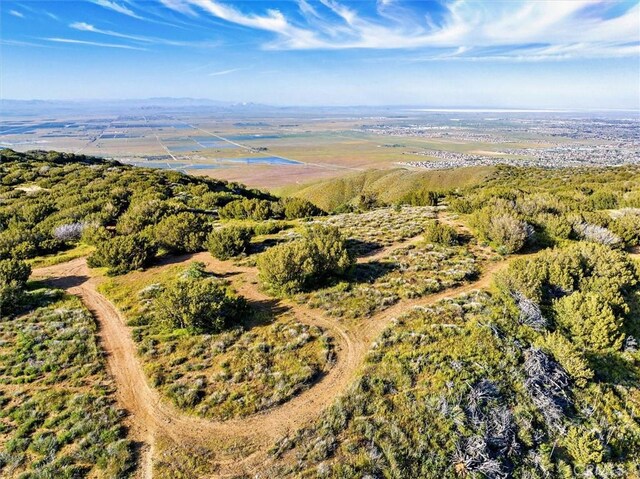 48725 Shallow Springs Rd N, Leona Valley, CA 93551 - photo 4