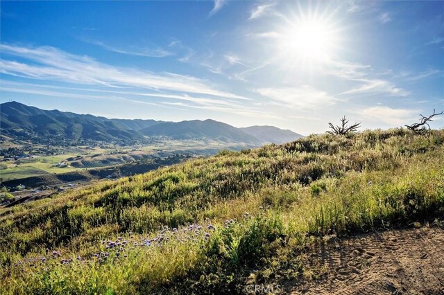 48725 Shallow Springs Rd N, Leona Valley, CA 93551 - photo 45