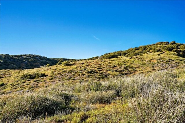 48725 Shallow Springs Rd N, Leona Valley, CA 93551 - photo 49