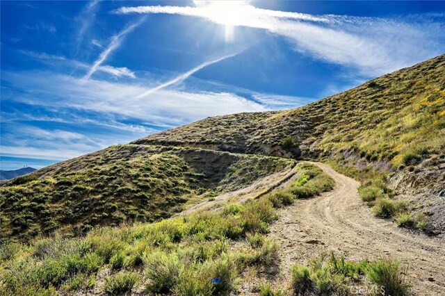 48725 Shallow Springs Rd N, Leona Valley, CA 93551 - photo 52