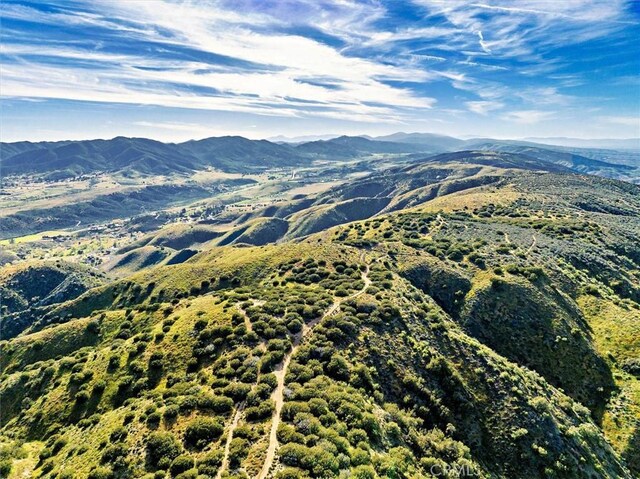 48725 Shallow Springs Rd N, Leona Valley, CA 93551 - photo 8