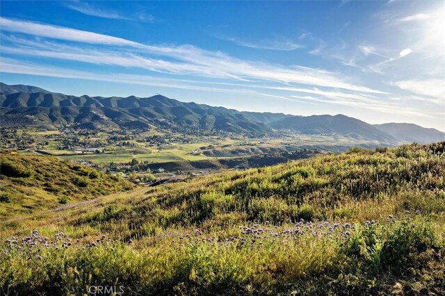 48725 Shallow Springs Rd N, Leona Valley, CA 93551 - photo 47