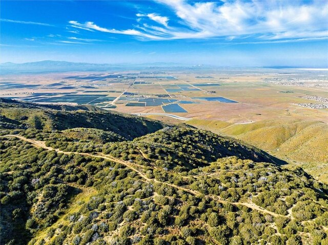 48725 Shallow Springs Rd N, Leona Valley, CA 93551 - photo 21
