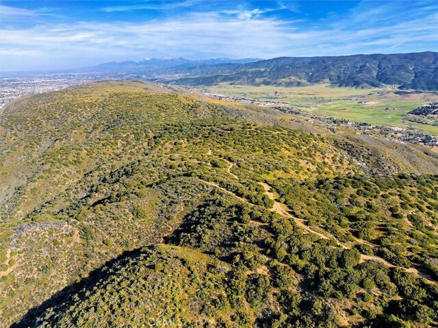 48725 Shallow Springs Rd N, Leona Valley, CA 93551 - photo 12