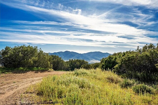 48725 Shallow Springs Rd N, Leona Valley, CA 93551 - photo 65