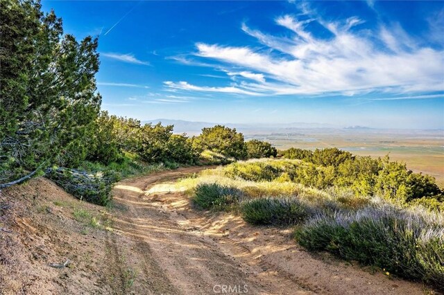 48725 Shallow Springs Rd N, Leona Valley, CA 93551 - photo 5