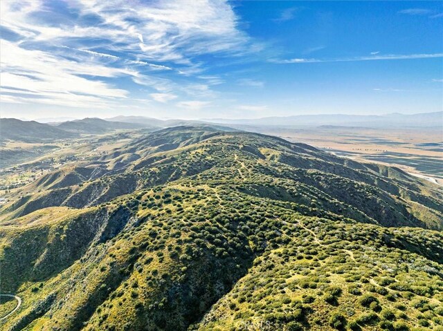 48725 Shallow Springs Rd N, Leona Valley, CA 93551 - photo 19