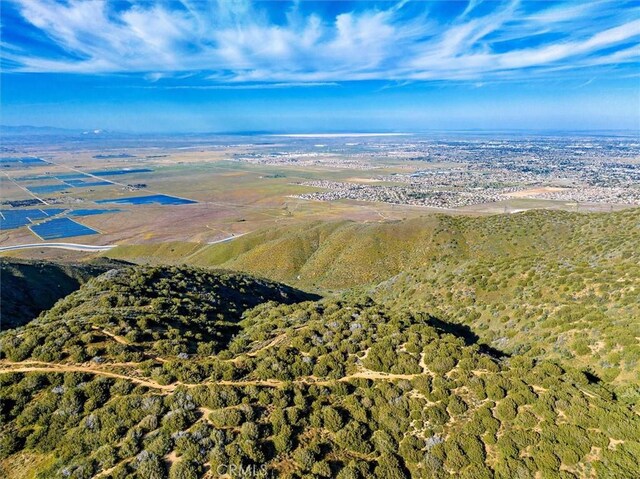 48725 Shallow Springs Rd N, Leona Valley, CA 93551 - photo 20