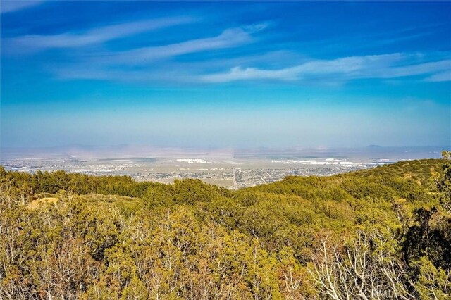 48725 Shallow Springs Rd N, Leona Valley, CA 93551 - photo 36