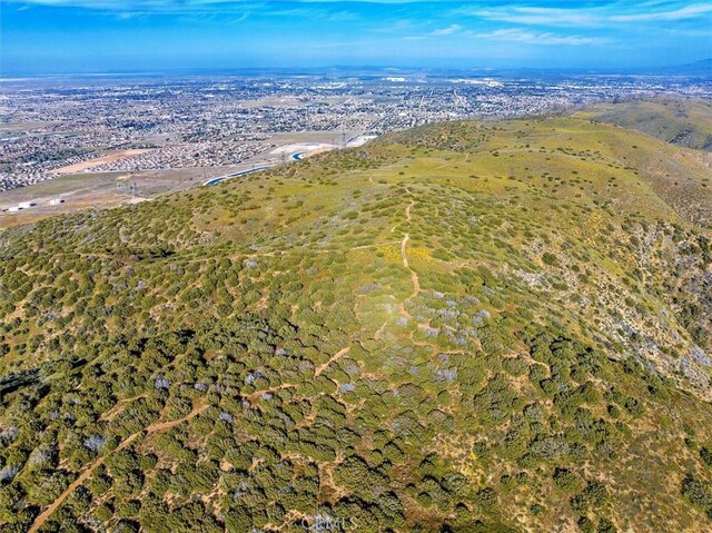 48725 Shallow Springs Rd N, Leona Valley, CA 93551 - photo 24