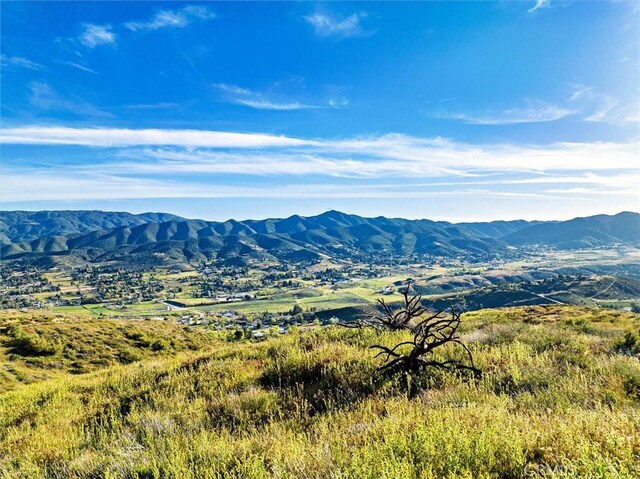 48725 Shallow Springs Rd N, Leona Valley, CA 93551 - photo 34