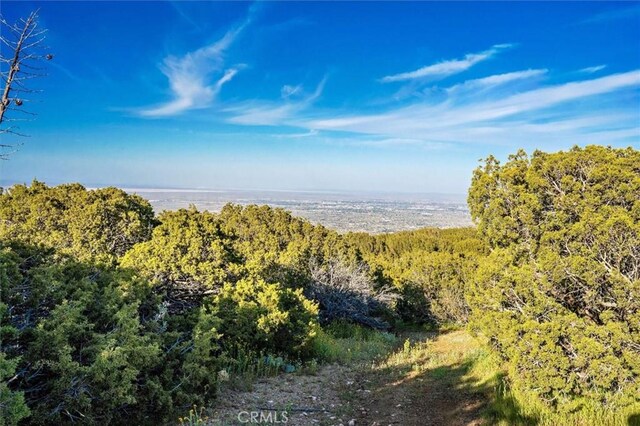 48725 Shallow Springs Rd N, Leona Valley, CA 93551 - photo 42