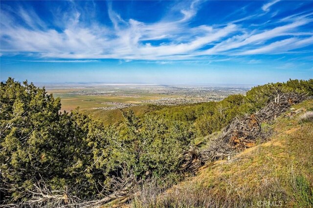 48725 Shallow Springs Rd N, Leona Valley, CA 93551 - photo 62