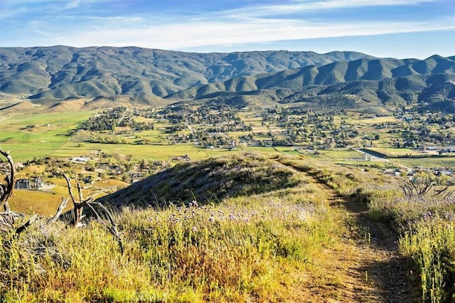 48725 Shallow Springs Rd N, Leona Valley, CA 93551 - photo 48