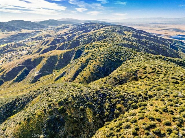 48725 Shallow Springs Rd N, Leona Valley, CA 93551 - photo 17