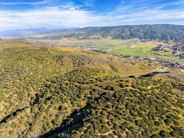 48725 Shallow Springs Rd N, Leona Valley, CA 93551 - photo 6