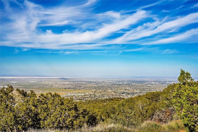 48725 Shallow Springs Rd N, Leona Valley, CA 93551 - photo 59