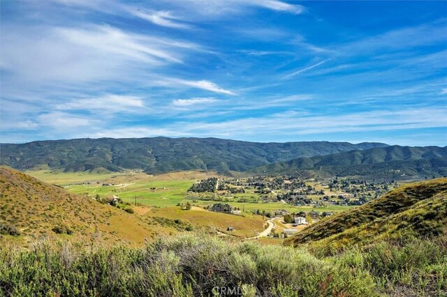 48725 Shallow Springs Rd N, Leona Valley, CA 93551 - photo 51