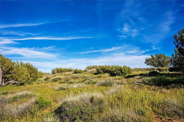 48725 Shallow Springs Rd N, Leona Valley, CA 93551 - photo 64