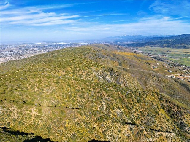 48725 Shallow Springs Rd N, Leona Valley, CA 93551 - photo 27