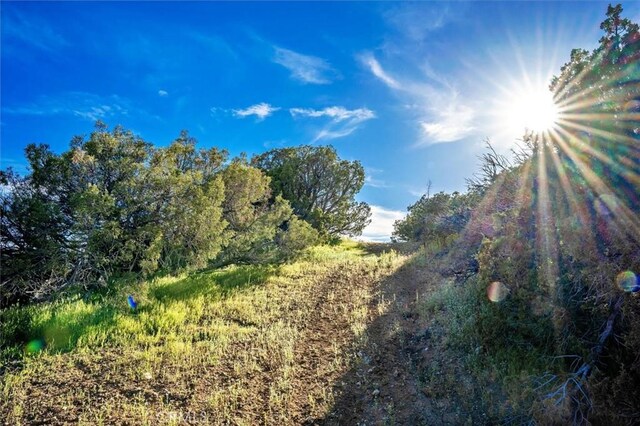 48725 Shallow Springs Rd N, Leona Valley, CA 93551 - photo 37