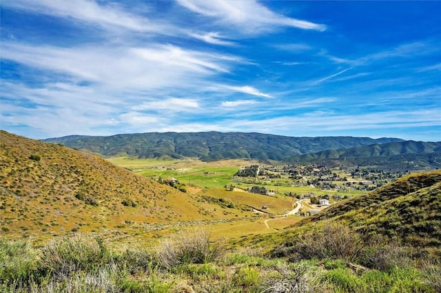 48725 Shallow Springs Rd N, Leona Valley, CA 93551 - photo 53