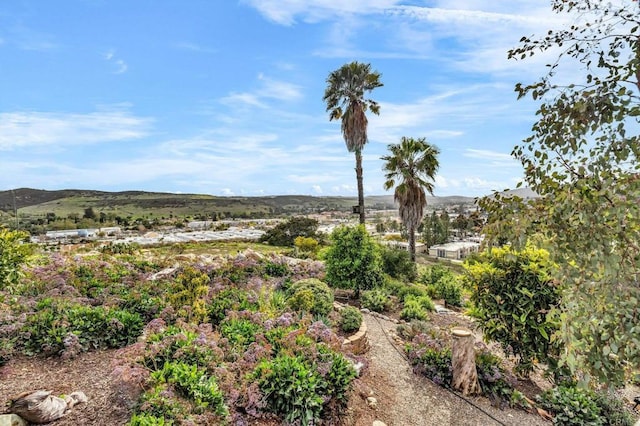 13501 Melissa Ln, Poway, CA 92064 - photo 52