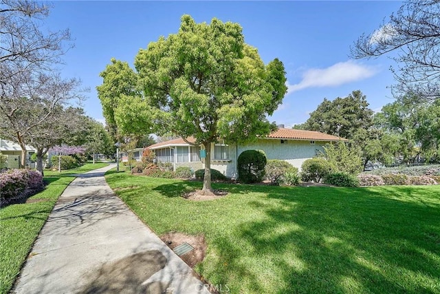 view of front facade featuring a tiled roof, stucco siding, and a front lawn