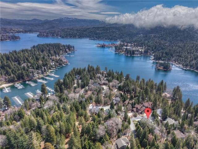27601 Cedarwood Dr, Lake Arrowhead, CA 92352 - aerial view with a water and mountain view and a forest view