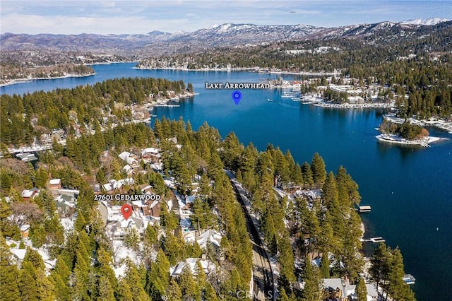 27601 Cedarwood Dr, Lake Arrowhead, CA 92352 - bird's eye view featuring a forest view and a water and mountain view