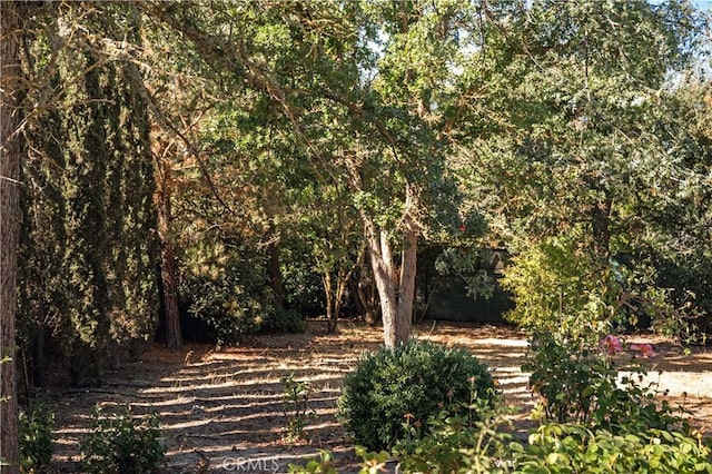 view of nature