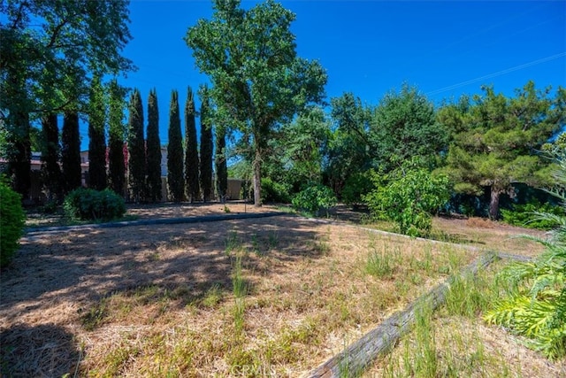 1040 Par Ave, Paso Robles, CA 93446 - view of yard