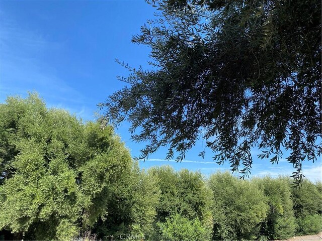 20813 Alameda Del Monte, Wildomar, CA 92595 - photo 17